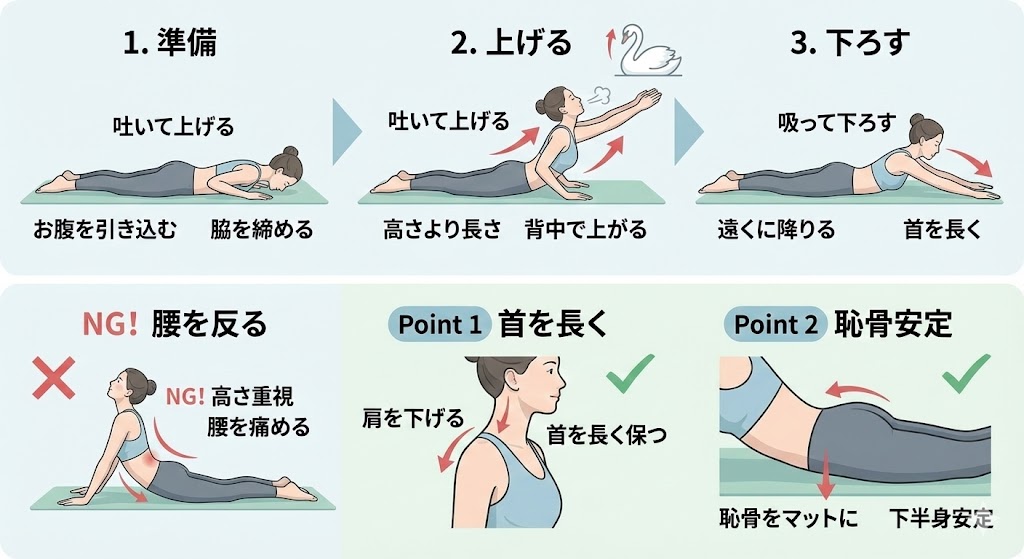 スワンのやり方の図解イラスト