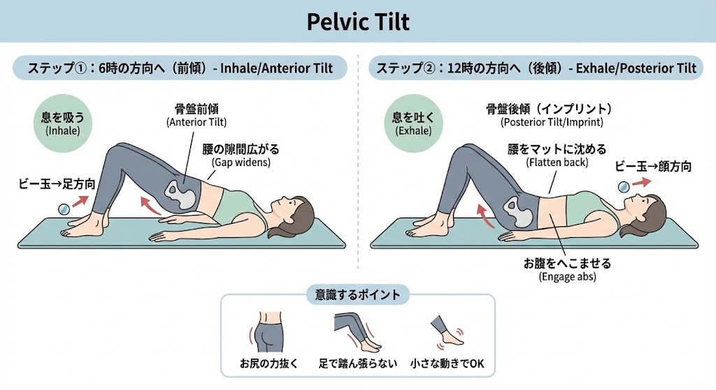 ペルビックティルトのやり方の図解イラスト