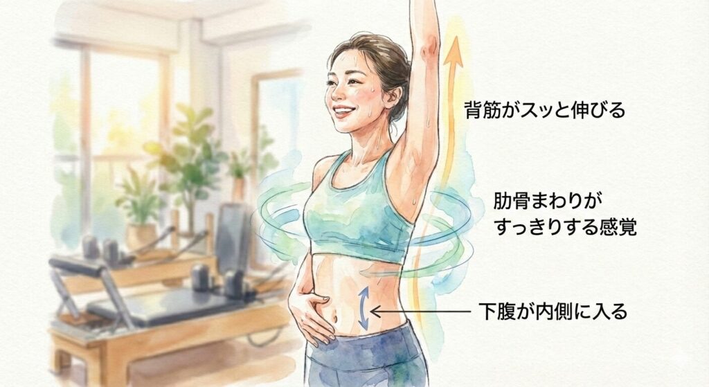 【体験レポ】ララピラティスの口コミは本当?料金・効果・予約方法まで徹底レビュー マシンピラティスのレッスンが終わった直後、背筋がスッと伸びる、下腹が内側に入る、肋骨まわりがすっきりする感覚を感じた女性