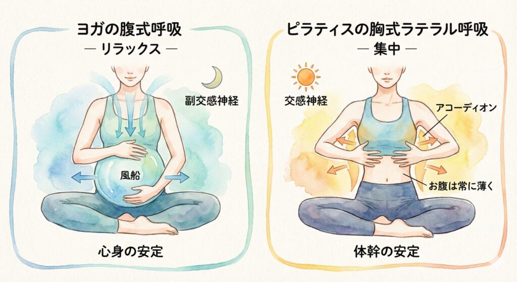 ピラティスの胸式ラテラル呼吸とヨガの腹式呼吸の違い