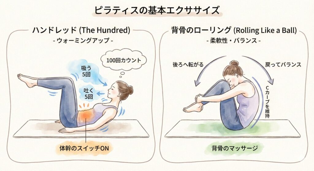 背骨のローリングやハンドレッドのやり方解説